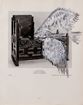 Benoit Delhomme - Birds and old english furnitures - 11