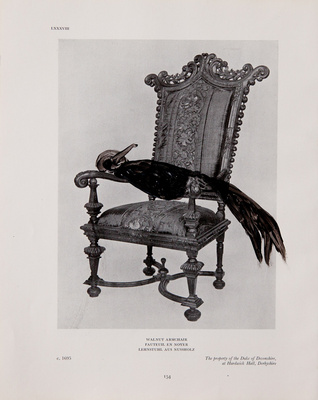 Benoit Delhomme - Birds and old english furnitures - 3